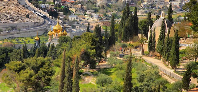 Visit the Mount of Olives during an Israel Tour